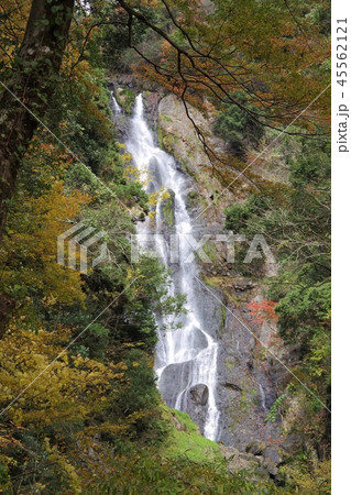 紅葉した神庭の滝 紅葉した神庭の滝 45562121
