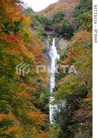 紅葉した神庭の滝 紅葉した神庭の滝 45562136