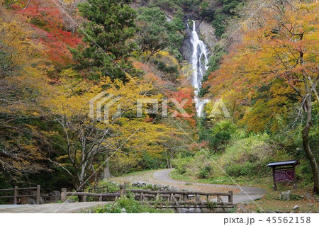 紅葉した神庭の滝 紅葉した神庭の滝 45562158