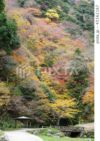 紅葉した神庭の滝 紅葉した神庭の滝 45562167