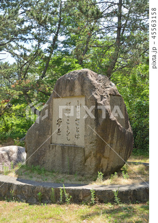新潟市内散歩:西海岸公園・坂口安吾の碑 新潟市内散歩:西海岸公園・坂口安吾の碑 45563158