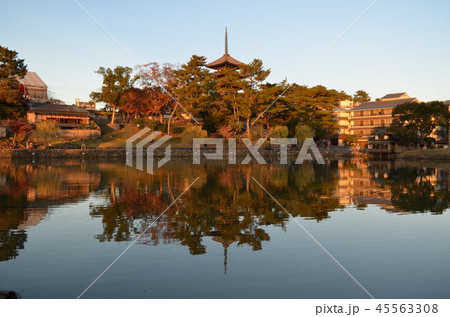 奈良　初冬　晴天の池に映る興福寺　 45563308