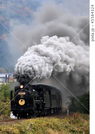 SLやまぐち号 SLやまぐち号 45564324