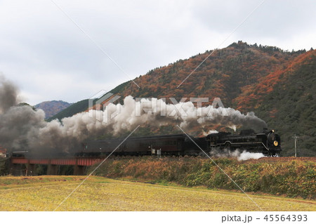 SLやまぐち号 45564393