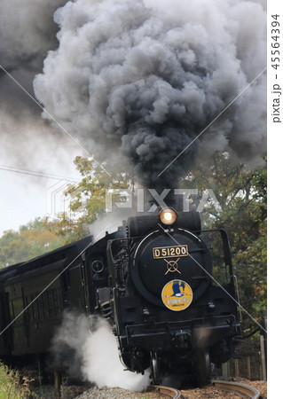 SLやまぐち号 45564394