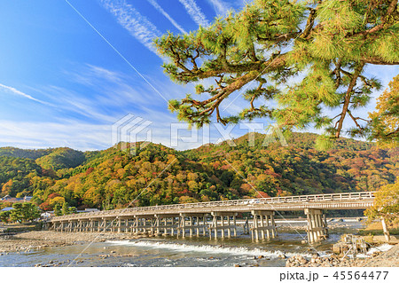 嵐山　紅葉 45564477