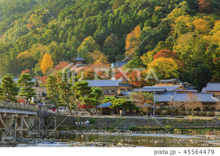 嵐山　紅葉 45564479