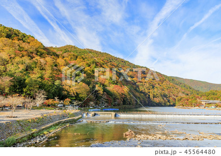 嵐山 紅葉 嵐山 紅葉 45564480
