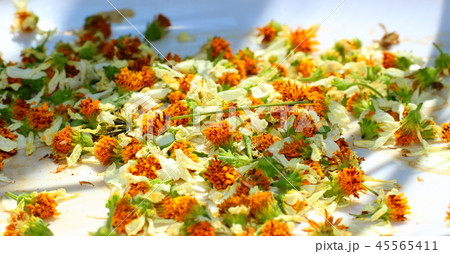 Head flowers background Head flowers background 45565411