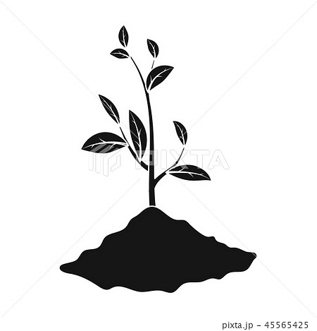 Sprout icon in black style isolated on white background. Bio and ecology symbol stock vector 45565425