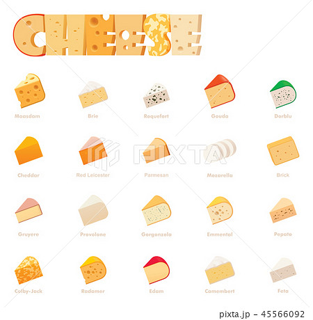 Vector cheese types icon set 45566092
