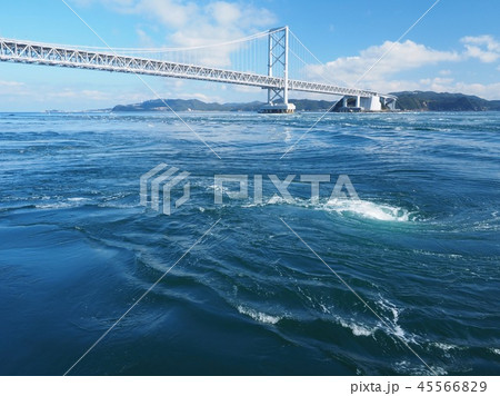 鳴門海峡　うずしお 45566829