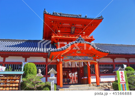 【愛媛県松山市】 道後 伊佐爾波神社 【愛媛県松山市】 道後 伊佐爾波神社 45566888