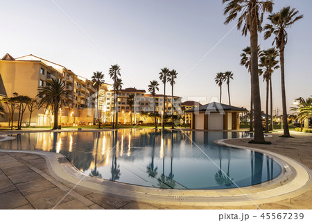 ホテル プール ヤシの木 45567239