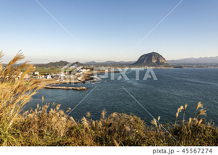 風景 海 海岸 45567274