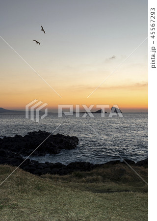 風景 海 海岸 45567293