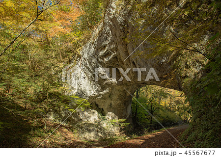 比婆道後帝釈国定公園～上帝釈「天然記念物雄橋」～ 45567677