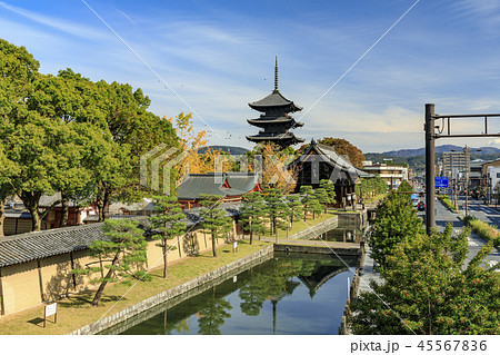 東寺　紅葉 45567836