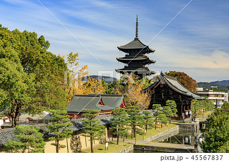 東寺　紅葉 45567837