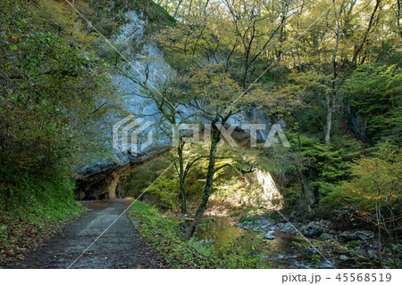 比婆道後帝釈国定公園～上帝釈「天然記念物雄橋」～ 45568519