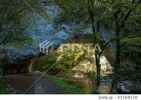 比婆道後帝釈国定公園～上帝釈「天然記念物雄橋」～ 45568520