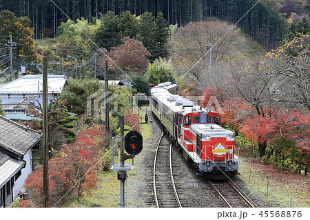 紅葉のわたらせ渓谷鉄道 紅葉のわたらせ渓谷鉄道 45568876