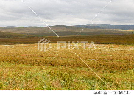 Mongolian steppe, beautiful landscape with cloudy sky Mongolian steppe, beautiful landscape with cloudy sky 45569439