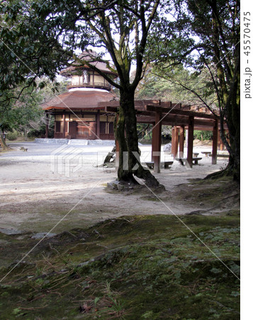 伊賀上野・俳聖殿 45570475