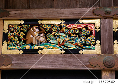 日光東照宮　神厩舎　猿の彫刻　「赤ん坊」　（ 栃木県 日光市 ） 45570562