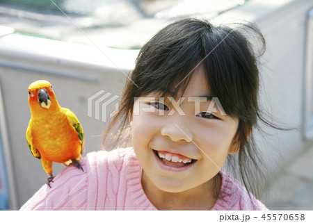 女の子の肩に乗るインコの写真素材