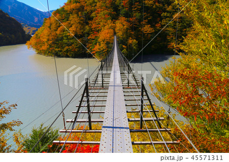 畑薙大吊橋 畑薙大吊橋 45571311