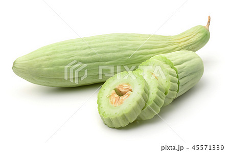 Armenian yard long cucumbers 45571339