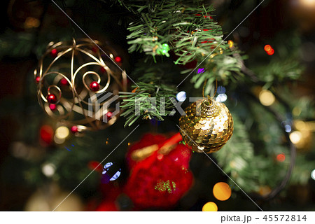 クリスマスツリー クリスマスツリー 45572814