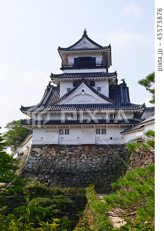 【高知県・日本100名城】高知城 【高知県・日本100名城】高知城 45573876