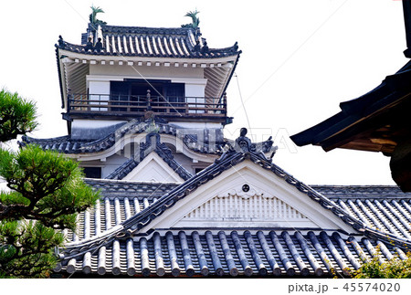 【高知県・日本100名城】高知城 天守閣(白背景) 【高知県・日本100名城】高知城 天守閣(白背景) 45574020