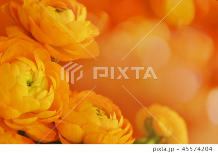 Floral corner arrangement with ranunculus flowers 45574204