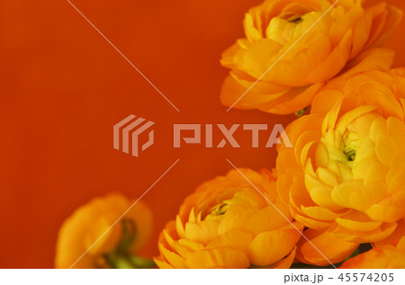 Floral corner arrangement with ranunculus flowers 45574205