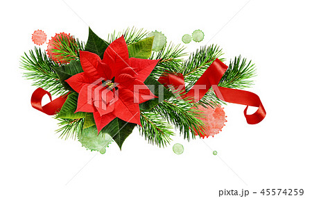 Christmas arrangement with poinsettia flower Christmas arrangement with poinsettia flower 45574259