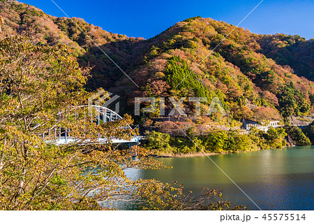 （神奈川県）秋の丹沢湖　世附大橋 45575514