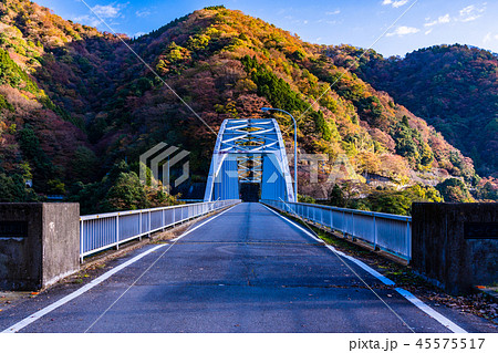 （神奈川県）秋の丹沢湖　世附大橋 45575517