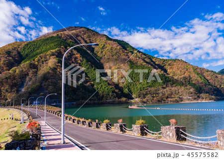 (神奈川県)秋の丹沢湖 三保ダム湖畔 (神奈川県)秋の丹沢湖 三保ダム湖畔 45575582