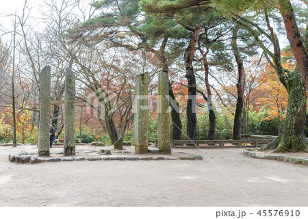 慶北 韓国 旅行 45576910