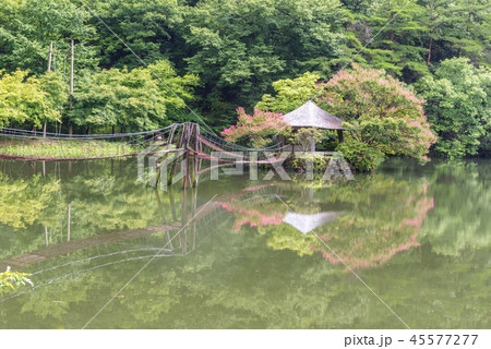 全羅南道 韓国 旅行 45577277