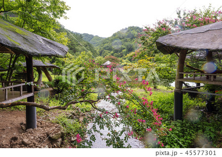 全羅南道 韓国 旅行 45577301