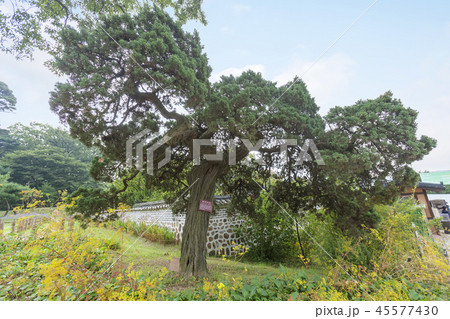 京畿道 キョンギド 韓国 45577430