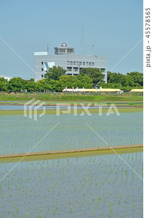 久喜市菖蒲町 菖蒲総合支所 久喜市菖蒲町 菖蒲総合支所 45578565