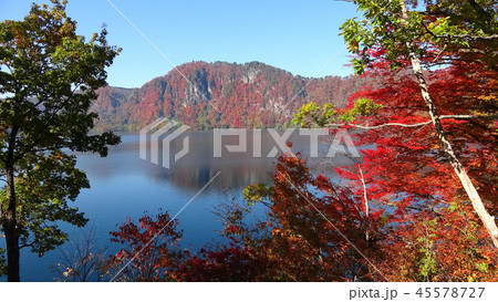 秋の沼沢湖（福島県・金山町） 45578727