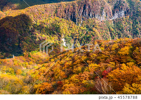 《栃木県》明智平の紅葉・明智平ロープウェイより撮影 45578788