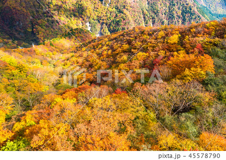 《栃木県》明智平の紅葉・明智平ロープウェイより撮影 《栃木県》明智平の紅葉・明智平ロープウェイより撮影 45578790