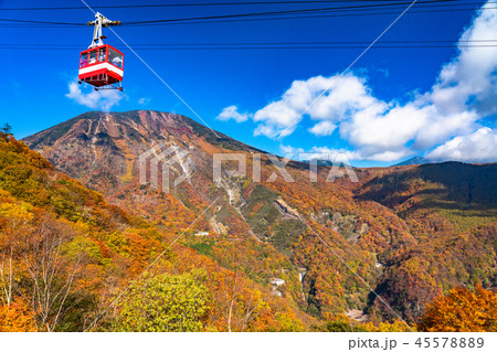 《栃木県》秋の日光・紅葉と明智平ロープウェイ 《栃木県》秋の日光・紅葉と明智平ロープウェイ 45578889